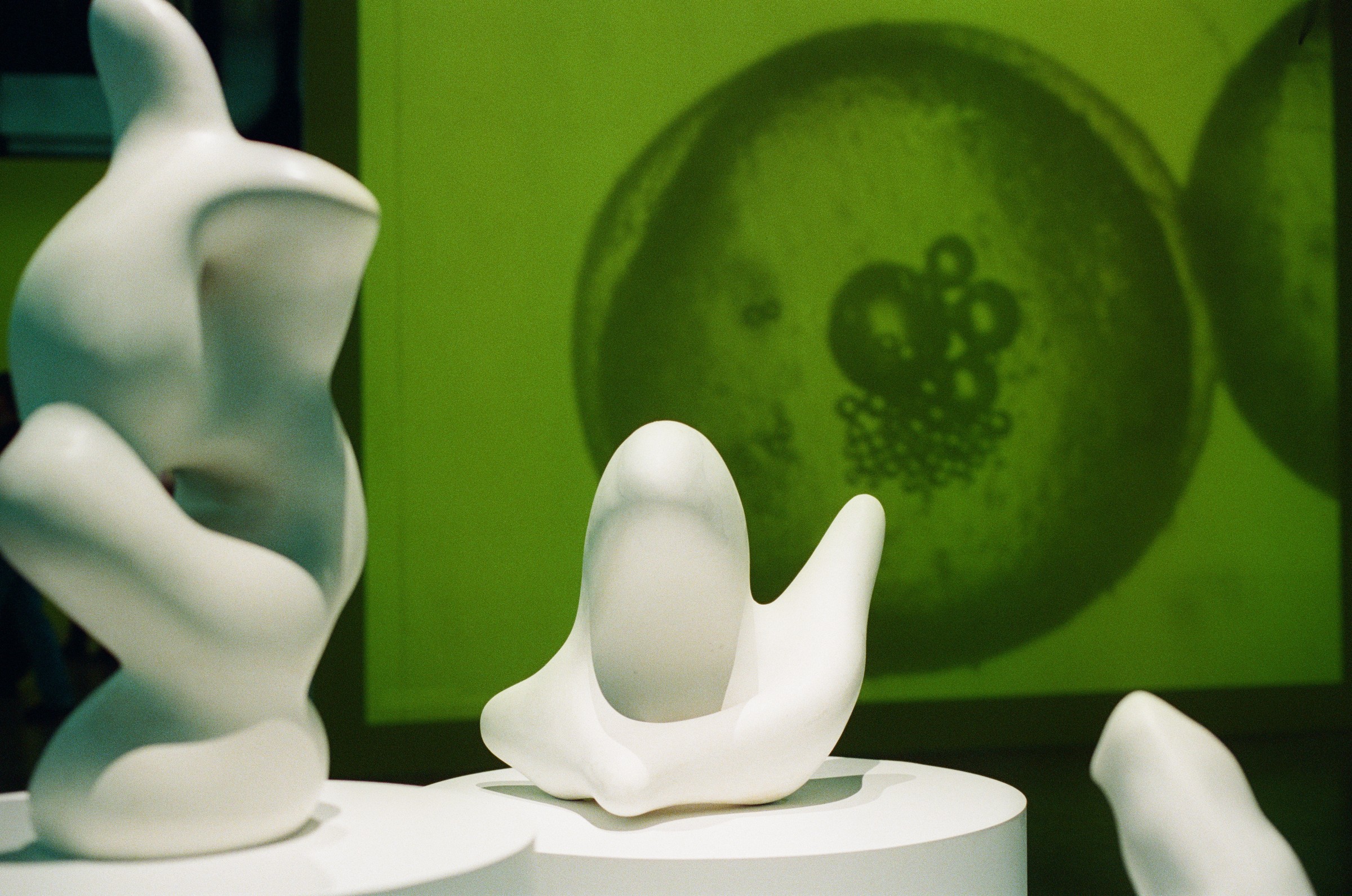 Ungefilterte Schätze